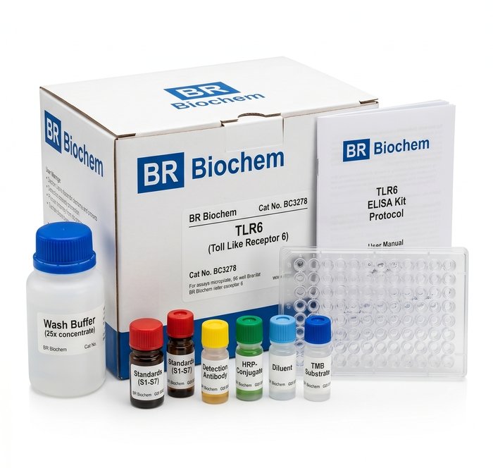 BC3278 TLR6 ELISA Kit - Human and Mouse Detection