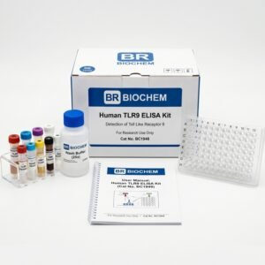TLR9 ELISA Kit BC1948 - High Sensitivity Assay