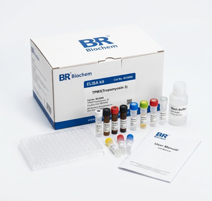 BC6477 TRPM4 ELISA Kit for Rat and Mouse