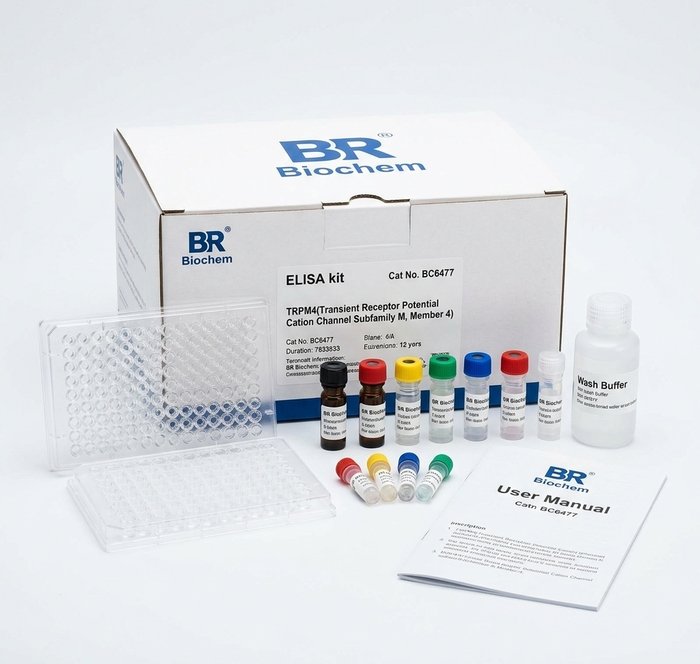 BC6477 TRPM4 ELISA Kit for Rat and Mouse