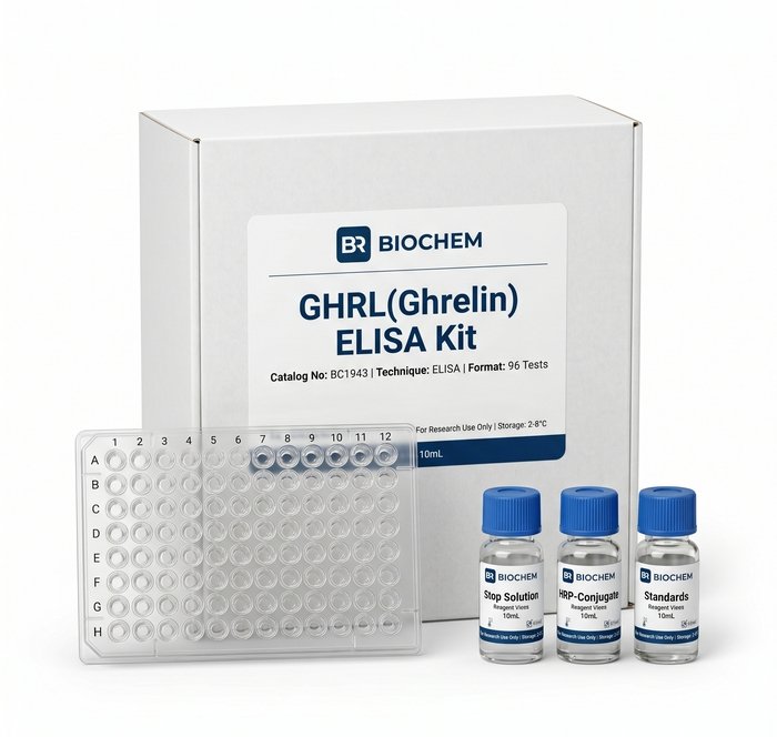 BC1943 Ghrelin ELISA Kit - High Sensitivity Assay