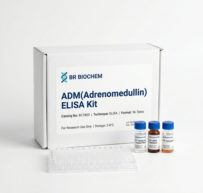BC1803 ADM Adrenomedullin ELISA Kit 96 Test