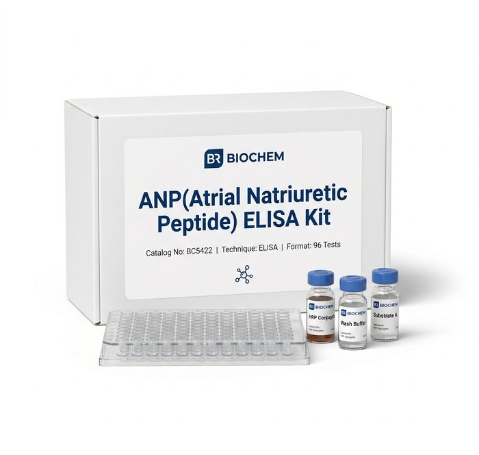BC5422 ANP ELISA Kit - High Sensitivity Assay (96 Tests)