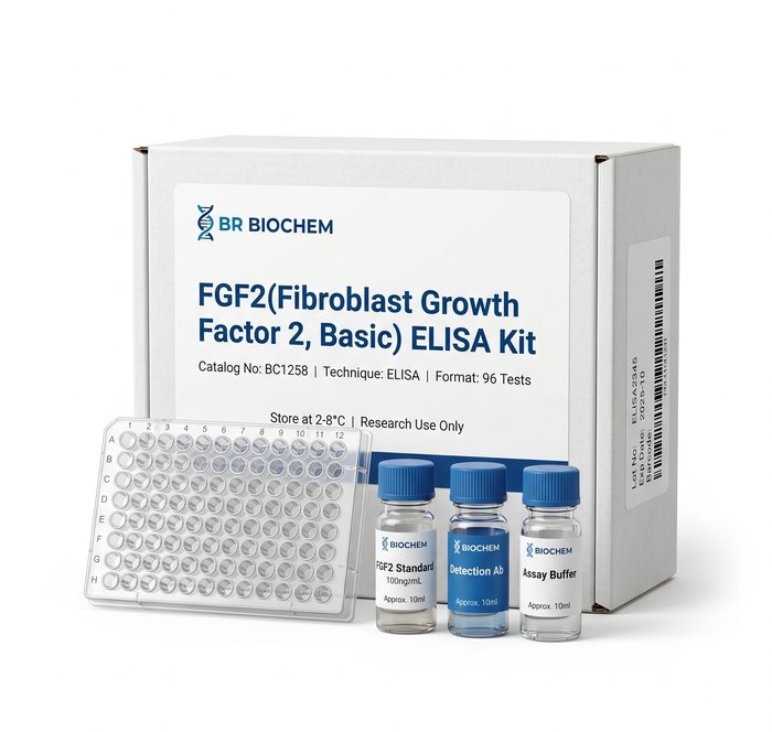 FGF2 ELISA Kit 96 Test BC1258 Basic Fibroblast Growth Factor