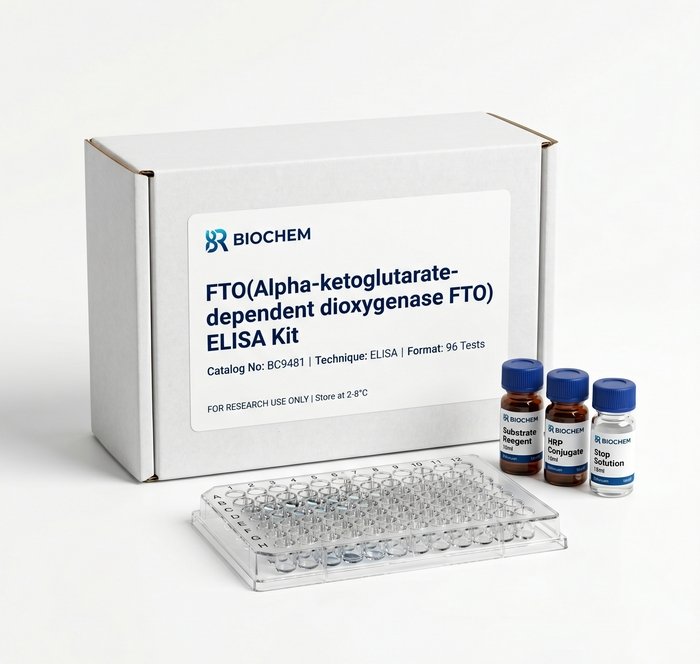 FTO ELISA Kit BC9481 Alpha-ketoglutarate Dioxygenase