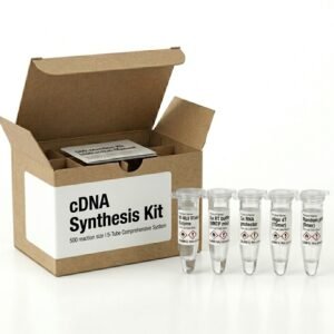 BCGB500 cDNA Synthesis Kit - 500 Reaction Pack