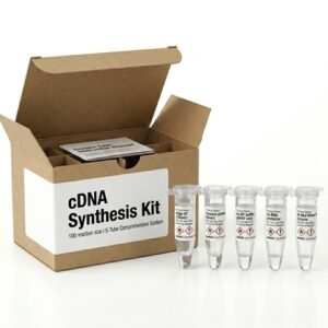 BCGB100 cDNA Synthesis Kit - 100 Reactions