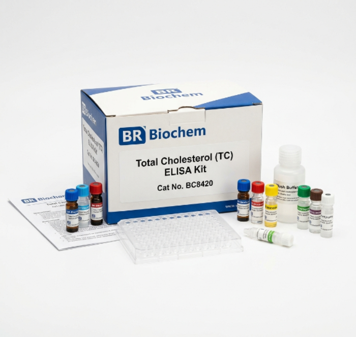 Total Cholesterol TC ELISA Kit BC8420 96 Tests