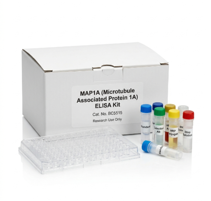 BC5515 Rat MAP1A ELISA Kit 96 Test