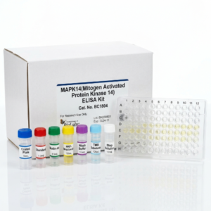 MAPK14 ELISA Kit 96 Test BC1804