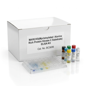MARCKS ELISA Kit BC3606 Human and Rat