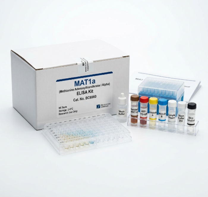 BC6960 MAT1a ELISA Kit for Rat and Mouse 96 Test