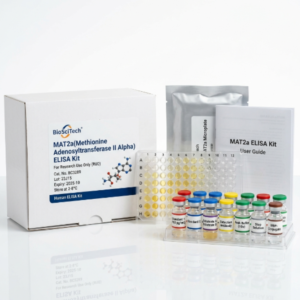 BC3289 MAT2a ELISA Kit 96 Test for Human and Rat