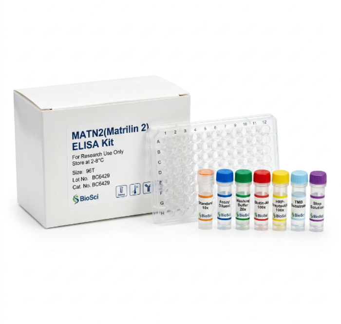 Mouse MATN2 ELISA Kit 96 Test BC6429
