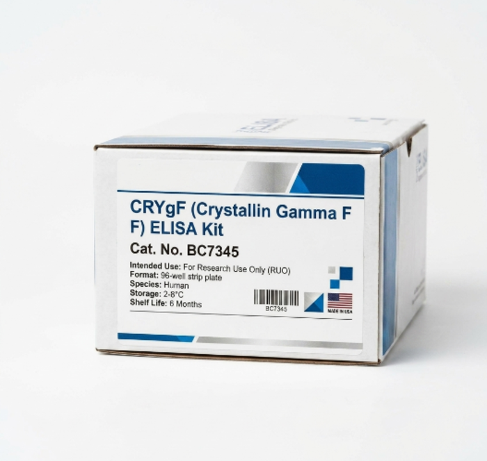 BC7345 CRYgF Crystallin Gamma F ELISA Kit for Mouse