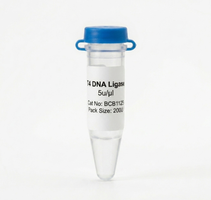 T4 DNA Ligase BCB1125, 5u/ul - Molecular Biology Enzyme