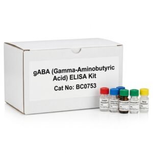 GABA ELISA Kit BC0753 - High Sensitivity Assay
