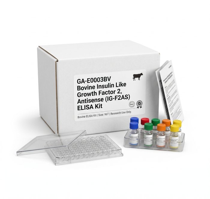 Bovine IGBP1 ELISA Kit 96 Tests GA-E0004BV
