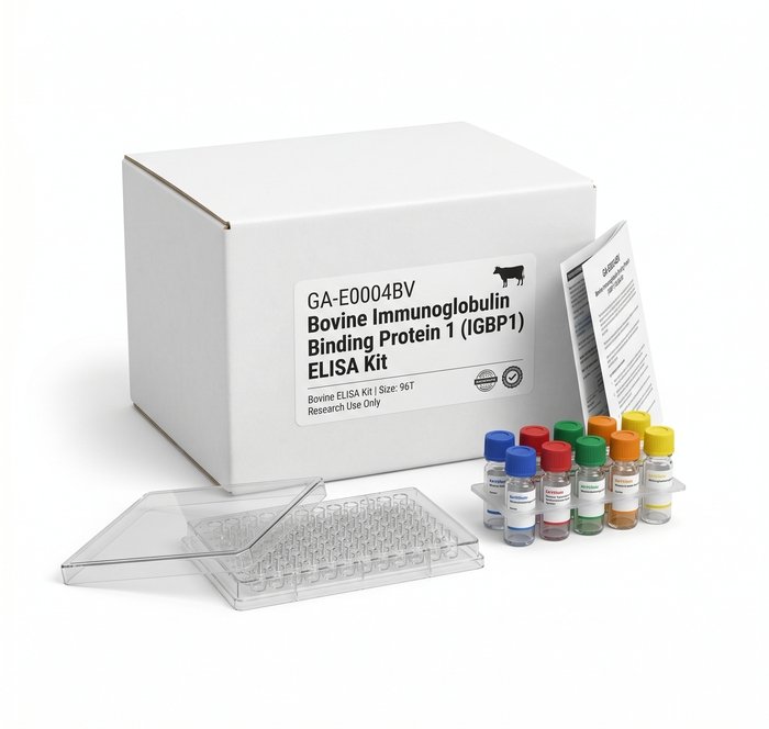 Protein Detection Kits