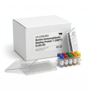 GA-E0005BV Bovine IGFBP-5 ELISA Kit 96 Tests