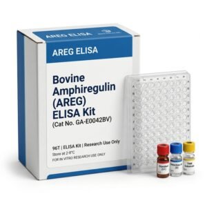 Bovine Amphiregulin ELISA Kit 96Test GA-E0042BV