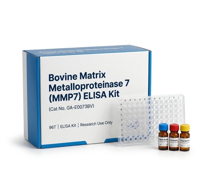 Bovine Estrogen E2 ELISA Kit 96-Test GA-E0038BV