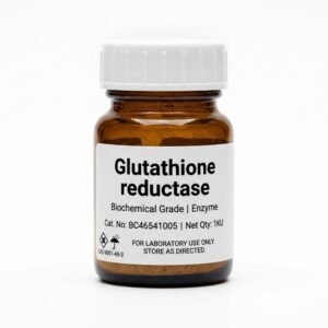 Glutathione Reductase Enzyme Reagent BC46541005