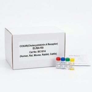CCKAR ELISA Kit BC1914 - High Sensitivity Assay