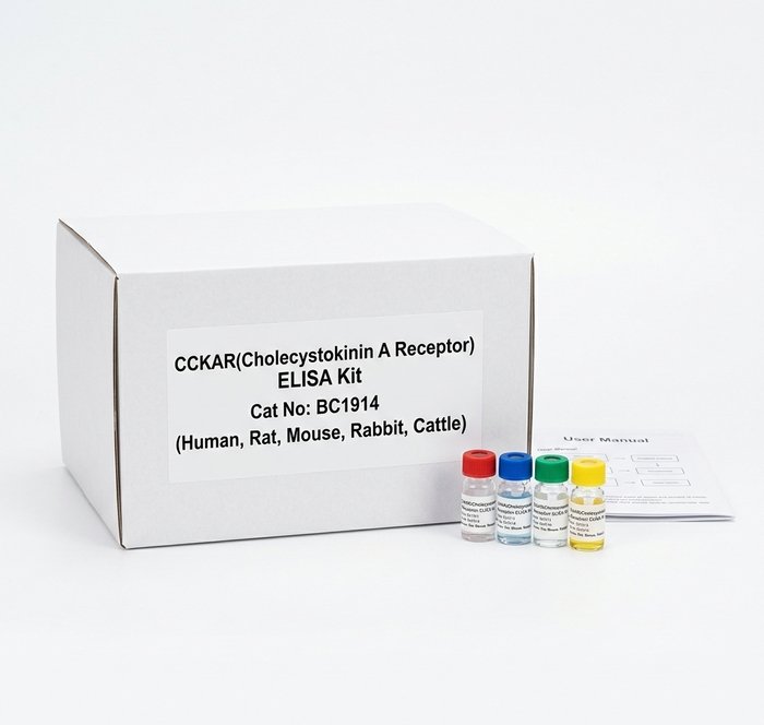 CCKAR ELISA Kit BC1914 - High Sensitivity Assay