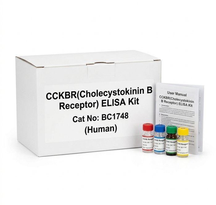 BC1748 CCKBR Human ELISA Kit 96 Test