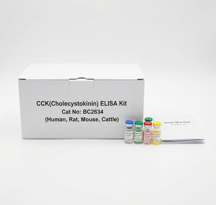 BC2634 CCK Cholecystokinin ELISA Kit 96 Test