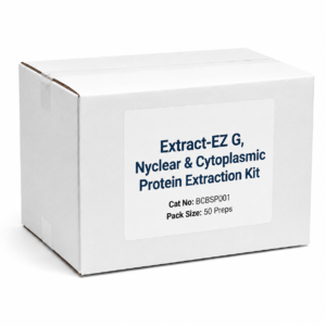 Extract-EZ G Nyclear & Cytoplasmic Protein Extraction Kit BCBSP001