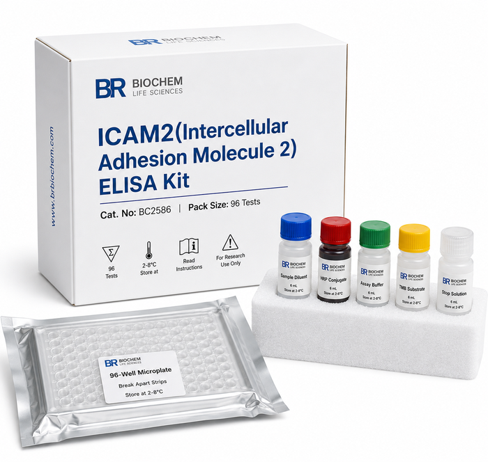 Mouse ICAM2 ELISA Kit BC2586 96 Test
