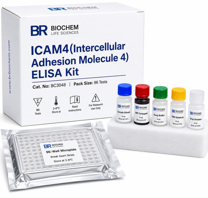 BC3048 ICAM4 ELISA Kit 96 Test