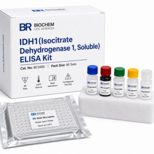 IDH1 ELISA Kit BC3485 Soluble Isocitrate Dehydrogenase 1