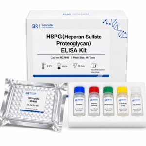 BC1959 HSPG Heparan Sulfate Proteoglycan ELISA Kit 96 Tests