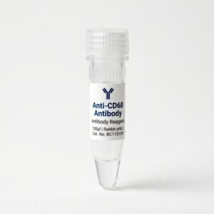 Anti-CD68 Rabbit Polyclonal Antibody 100ul BC113109
