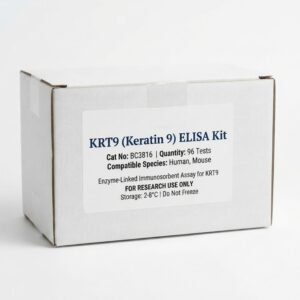 KRT9 ELISA Kit BC3816 - Human and Mouse Detection
