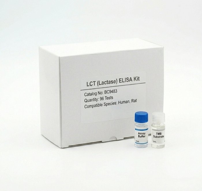 BC9483 LCT Lactase ELISA Kit for Human and Rat