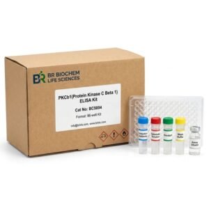 PKCb1 ELISA Kit BC5004 Protein Kinase C Beta 1 Assay