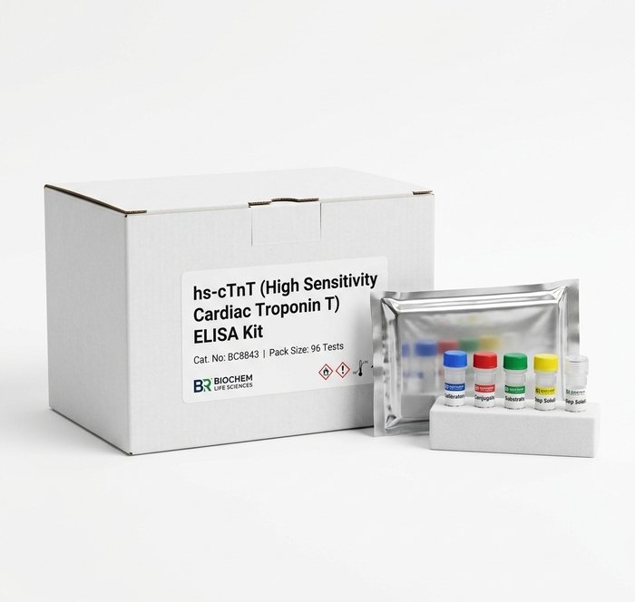 hs-cTnT High Sensitivity Cardiac Troponin T ELISA Kit BC8843