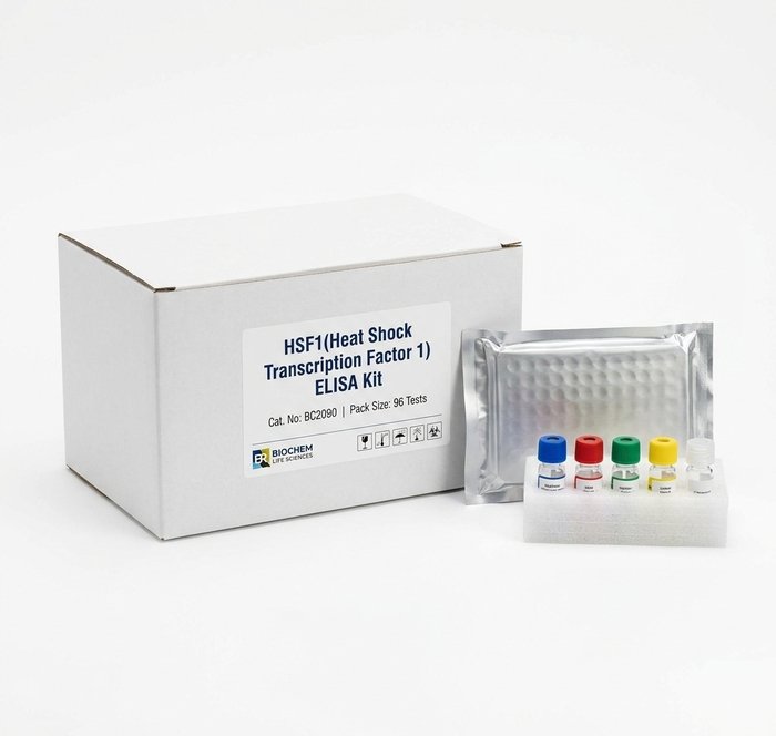 BC2090 HSF1 ELISA Kit 96 Test for Human and Rat