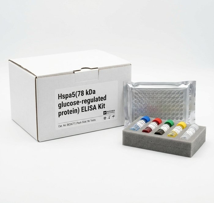 Rat Hspa5 78kDa Glucose Regulated Protein ELISA Kit 96 Test