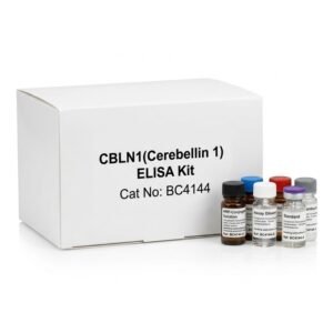 CBLN1 Human ELISA Kit 96 Tests BC4144
