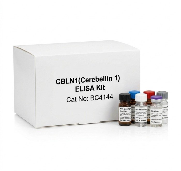 CBLN1 Human ELISA Kit 96 Tests BC4144
