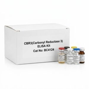 Human CBR3 ELISA Kit 96 Tests BC4124
