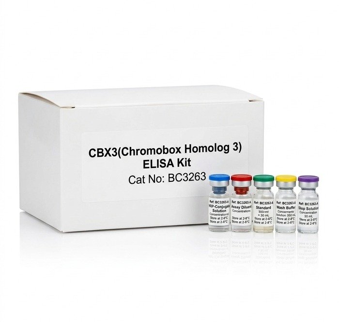 CBX3 ELISA Kit BC3263 96 Tests