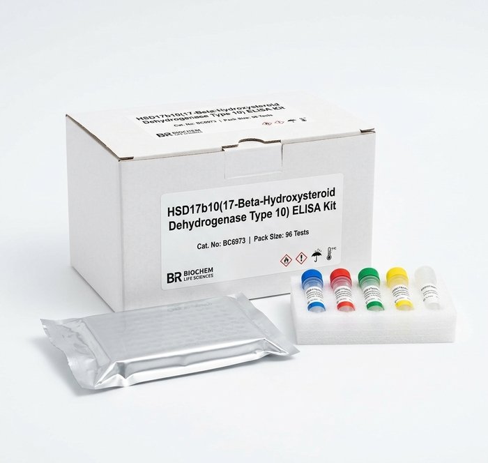Mouse HSD17b10 ELISA Kit 96 Test BC6973