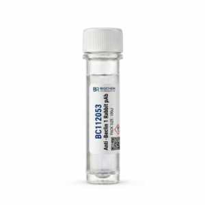 Anti-Beclin 1 Rabbit pAb 100ul BC112053