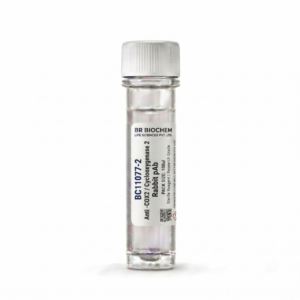 Anti-COX2 Cyclooxygenase 2 Rabbit pAb 100ul